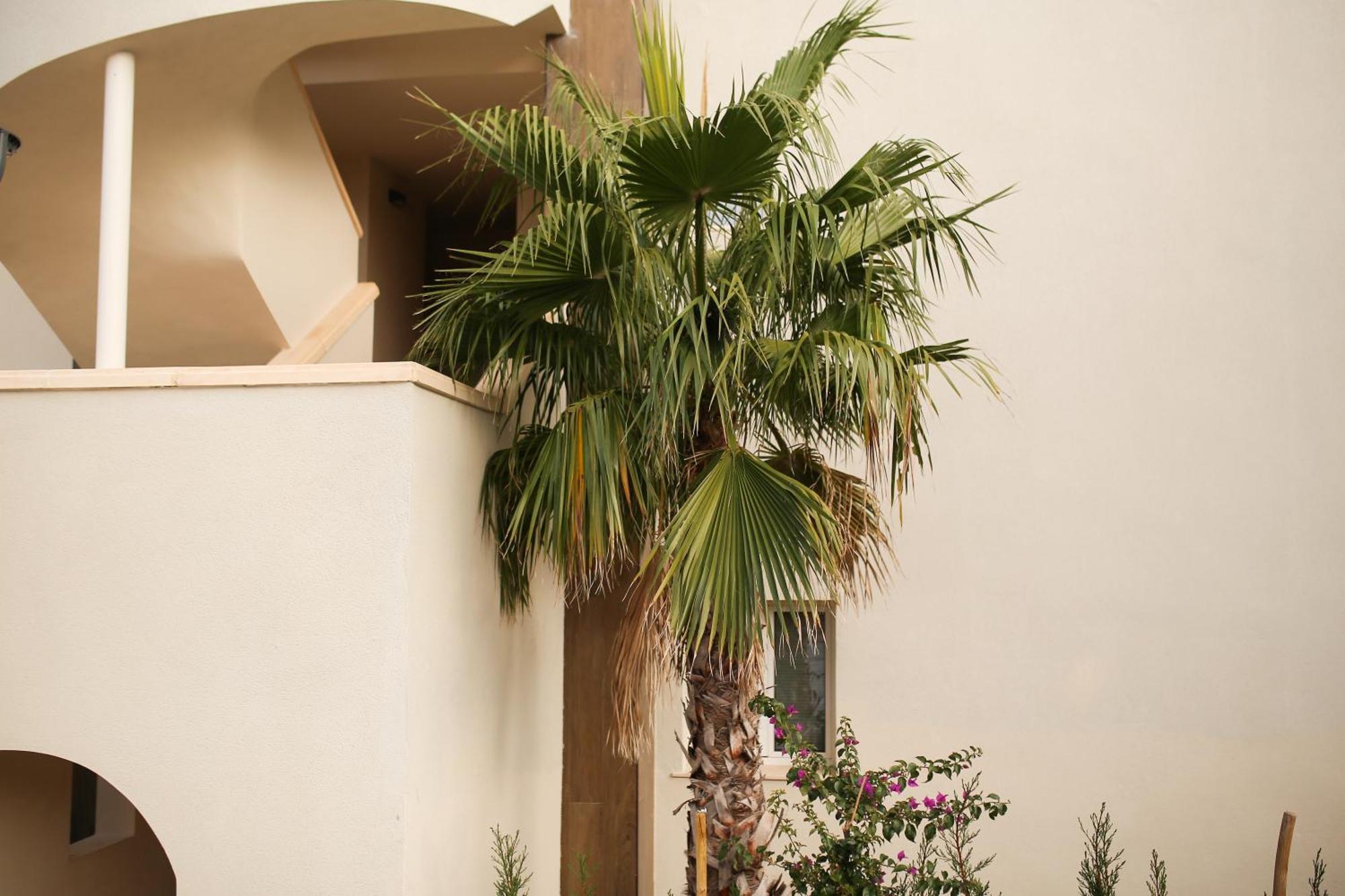 Ferienwohnung Modern Flat With Montgo View Dénia Exterior foto